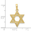 10k Yellow Gold Star of David Pendant 10D3803