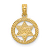 14k Yellow Gold Engraved Star Of David In Circle Pendant