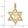 14k Yellow Gold Jewish Star with Chi Center Pendant