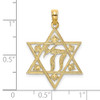 14k Yellow Gold Textured Star Of David Pendant