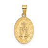 14k Yellow Gold Polished Virgin Mary Pendant