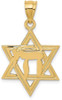 14k Yellow Gold Solid Polished Chai In Star Of David Pendant