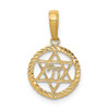 14k Yellow Gold Star Of David and Chi In Circle Pendant