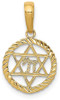 14k Yellow Gold Star Of David and Chi In Circle Pendant