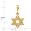 14k Yellow Gold Jewish Star Pendant
