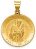 14k Yellow Gold Polished and Satin St. Francis Of Assisi Medal Pendant XR1325