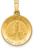 14k Yellow Gold Polished and Satin Our Lady Fatima Medal Pendant