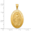 14k Yellow Gold Miraculous Medal Pendant REL135