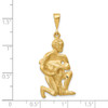 14k Yellow Gold Satin Diamond-cut Aquarius Zodiac Pendant