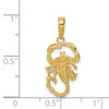 14k Yellow Gold Scorpion Pendant C3049