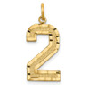 14k Yellow Gold Casted Large Diamond-Cut Number 2 Charm