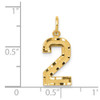14k Yellow Gold Casted Medium Diamond-Cut Number 2 Charm