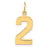 14k Yellow Gold Casted Medium Polished Number 2 Pendant