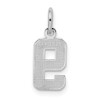 Sterling Silver Small Diamond-Cut #9 Charm