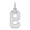 Sterling Silver Rhodium-plated Small Polished Number 9 Charm