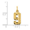 14k Yellow Gold Casted Small Diamond-Cut Number 9 Charm