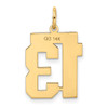 14k Yellow Gold Medium Satin Number 13 Charm