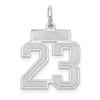 14k White Gold Small Satin Number 23 Charm