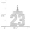 14k White Gold Small Satin Number 23 Charm