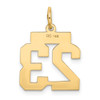 14k Yellow Gold Small Satin Number 23 Charm