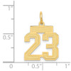 14k Yellow Gold Small Satin Number 23 Charm