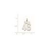 Sterling Silver Rhodium-plated Small Satin Number 46 Charm
