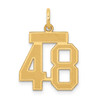 14k Yellow Gold Small Satin Number 48 Charm