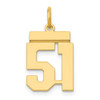 14k Yellow Gold Small Polished Number 51 Charm LS51