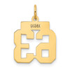 14k Yellow Gold Small Polished Number 63 Charm LS63