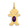 14k Yellow Gold Girl 6x4 Oval Genuine Amethyst-February Pendant