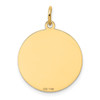 14k Yellow Gold Beagle Disc Charm