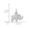 14k White Gold Elephant Charm K6013