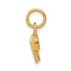 14k Yellow Gold Fish Charm