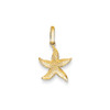 14k Yellow Gold Textured Hollow Starfish Charm