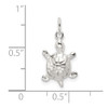 Sterling Silver Polished Turtle Charm