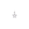 10K White Gold Diamond-cut Star Charm