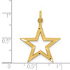 14k Yellow Gold Diamond-cut Star Charm C1115