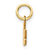 14k Yellow Gold Nana Charm