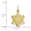 10k Yellow Gold Solid Satin Snowflake Charm