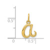 14k Yellow Gold Yellow Gold Initial Charm YC1060A