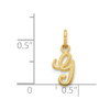 14k Yellow Gold Casted Initial G Charm