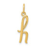 14k Yellow Gold Yellow Gold Initial Charm YC1060H