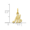 10k Yellow Gold Initial M Charm 10C763M