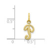 10k Yellow Gold Initial P Charm 10C763P