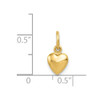 14k Yellow Gold Polished 3-D Puffed Heart Charm K795