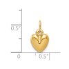 14k Yellow Gold Polished 3-D Puffed Heart Charm C2904