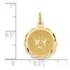 14k Yellow Gold Love Birds Disc Charm