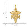 14k Yellow Gold RN Nurse Charm C433