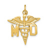 14k Yellow Gold Large M.D. Caduceus Charm