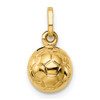 14k Yellow Gold 3-D Soccer Ball Charm